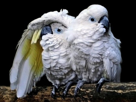 355575 (a): :1024x768